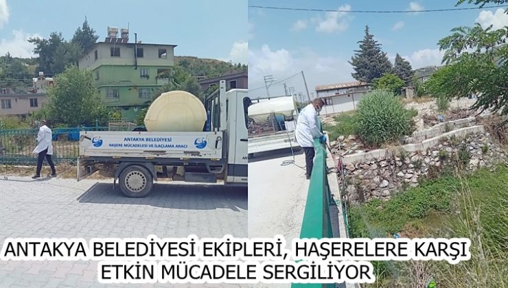 ANTAKYA BELEDİYESİ EKİPLERİ, HAŞERELERE KARŞI ETKİN MÜCADELE SERGİLİYOR